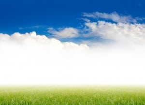 Environmental Abbreviations