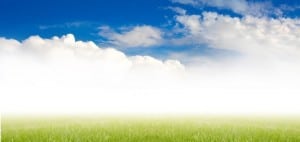 Environmental Abbreviations