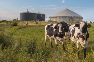 GHGi analytics records scope 1 emissions - Biogas