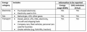Streamlined Energy and Carbon Reporting