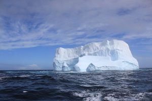 9.Enhanced Ocean Productivity