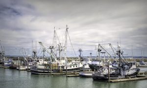 Bottom trawling is a climate change disaster