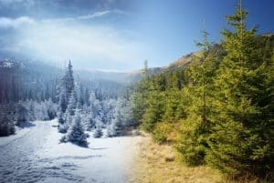 Seasonal variation